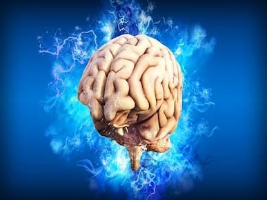 A picture of a brain.