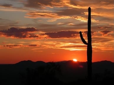 A picture of an Arizona desert.